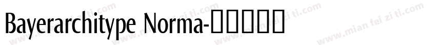 Bayerarchitype Norma字体转换
